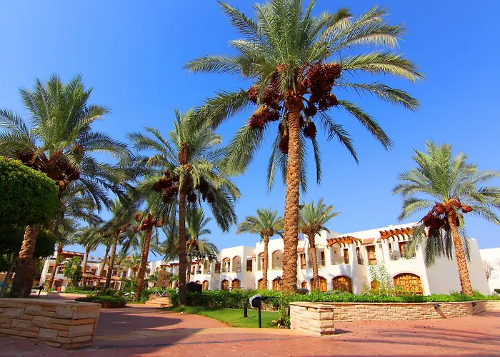 Coral Hills 3*