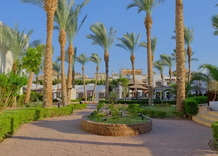 Coral Hills