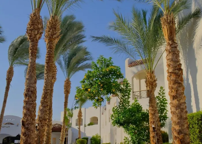 Coral Hills 3* Sharm el-Sheikh