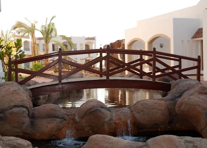 Coral Hills